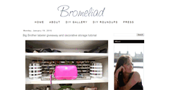 Desktop Screenshot of bromeliadliving.com